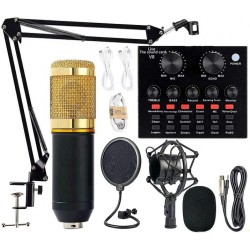 BM800 Professional Condenser Microphone with V8 Sound Card (Black)