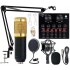 BM800 Professional Condenser Microphone with V8 Sound Card (Black)