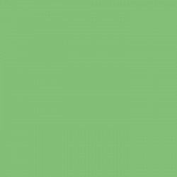 Superior Seamless Photography Background Paper #63 Apple Superior Seamless Photography Background Paper #63 Apple