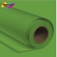 Superior Seamless Photography Background Paper #54 Stinger