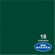 Savage Widetone Seamless Background Paper (#18 Evergreen)