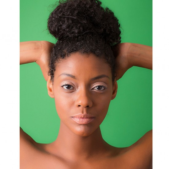 Savage Widetone Seamless Background Paper (#35 Holly)