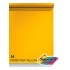 Superior 1.35*10 m Seamless Background Paper (#14 Forsythia Yellow)
