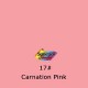 Superior 1.35*10 m Seamless Background Paper (#17 Carnation Pink)
