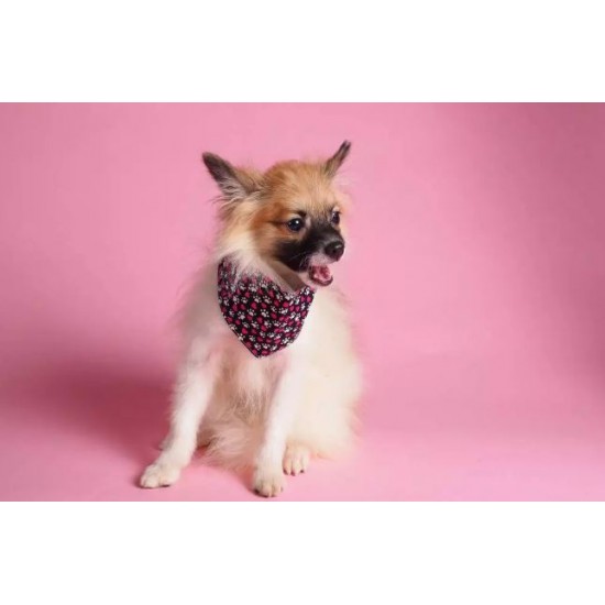 Superior 1.35*10 m Seamless Background Paper (#17 Carnation Pink)