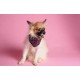 Superior 1.35*10 m Seamless Background Paper (#17 Carnation Pink)