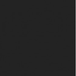 Superior 1.35*10 m Seamless Background Paper (#44 Jet Black)