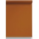 Superior 1.35*10 m Seamless Background Paper (#48 Spice)