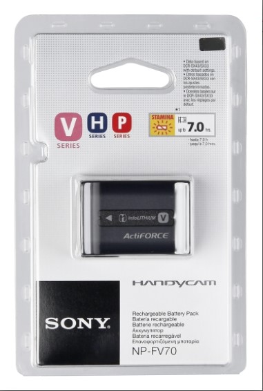 2x Batteria NP-FV90 + Caricabatteria per fotocamera Sony DCR-PJ5, DEV, FDR, HDR, NEX