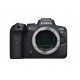 Canon EOS R6 Mirrorless Camera with RF 24-105mm f/4-7.1 STM Lens