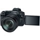 Canon EOS R Mirrorless Digital Camera with 24-105mm USM Lens + EF-EOS R Mount Adapter Canon EOS R Mirrorless Digital Camera with 24-105mm USM Lens + EF-EOS R Mount Adapter