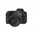 Canon EOS R Mirrorless Camera with RF 24-105mm f/4-7.1 STM Lens