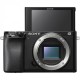 Sony Alpha a6100 Mirrorless Camera with 16-50mm f/3.5-5.6 OSS Lens