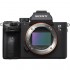 Sony Alpha a7III Full-Frame Mirrorless Digital Camera (Body Only)