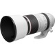 Canon RF 100-500mm f/4.5-7.1 L IS USM Lens