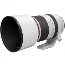 Canon RF 70-200mm f/2.8 L IS USM Lens Canon RF 70-200mm f/2.8 L IS USM Lens