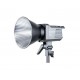 Aputure Amaran 100D Daylight-Balanced LED Light