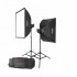 GODOX MS300-F 2-Monolight 600W Studio Strobe Kit (2 heads)