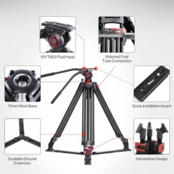 FVT-901G 79 Inch Heavy Duty Professional Camera Tripod with 360 Degree Fluid Head FVT-901G 79 Inch Heavy Duty Professional Camera Tripod with 360 Degree Fluid Head