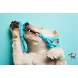 Savage Widetone Seamless Background Paper (#47 Baby Blue) Savage Widetone Seamless Background Paper (#47 Baby Blue)