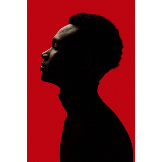Savage Widetone Seamless Background Paper (#08 Primary Red) Savage Widetone Seamless Background Paper (#08 Primary Red)