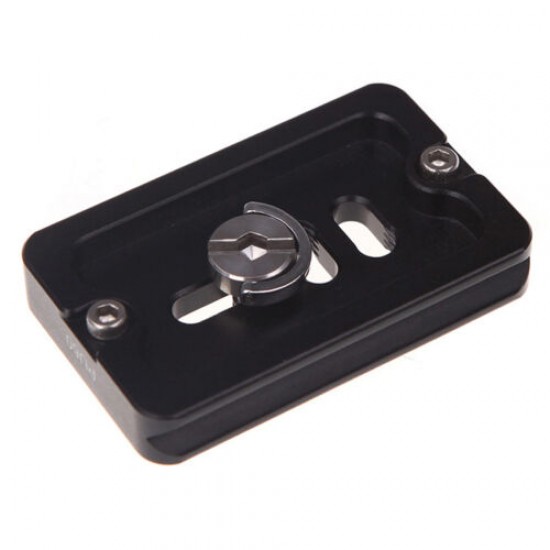 Stainless Steel 1/4" D-Ring Mounting Screw for Camera, Tripod and Monopod Quick Release Plate