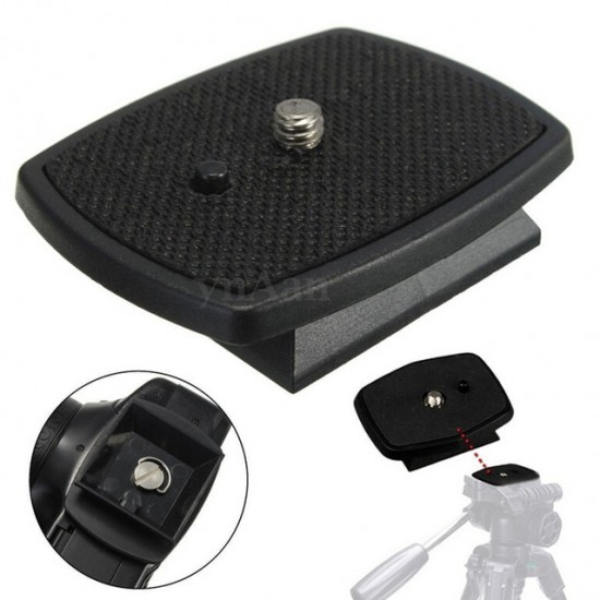 Stainless Steel 1/4" D-Ring Mounting Screw for Camera, Tripod and Monopod Quick Release Plate