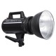 Godox Gemini GS400II 400W Studio Monolight Flash Head