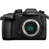 Mirrorless Cameras